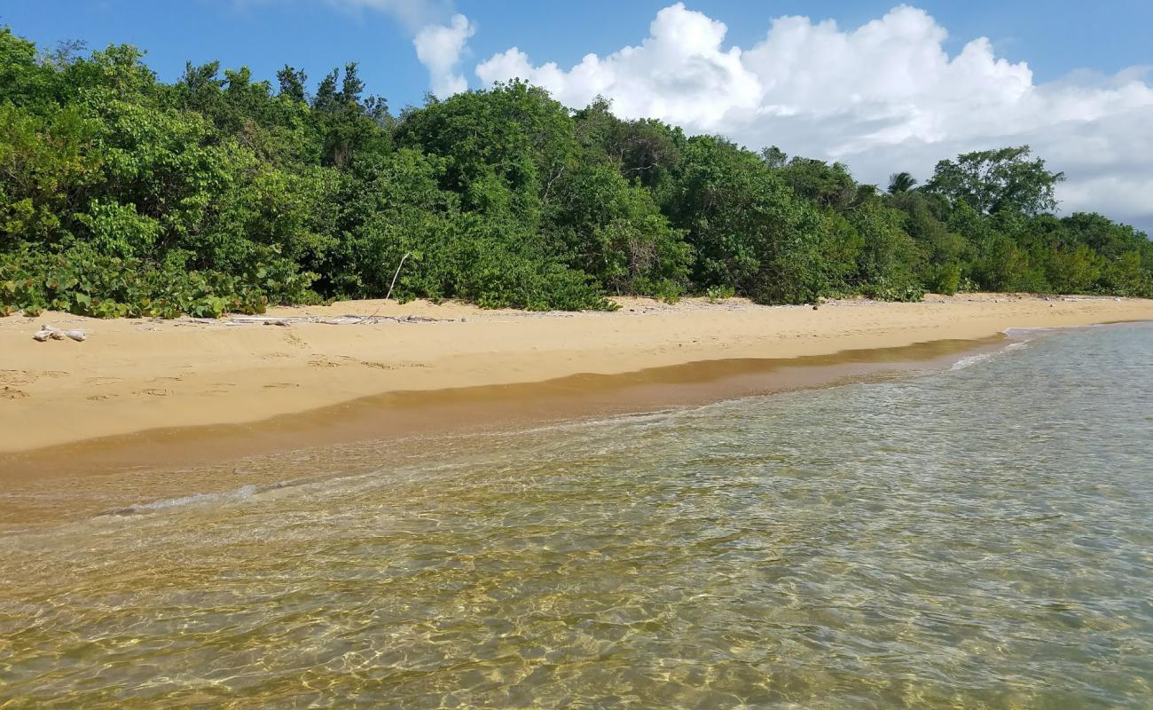 Playa Cabeza Chiquita'in fotoğrafı parlak ince kum yüzey ile