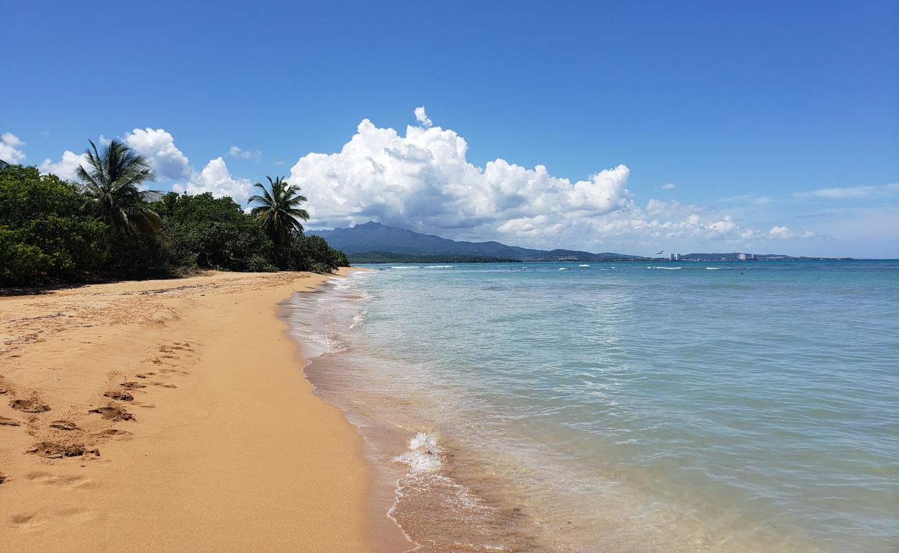 Playa Escondida'in fotoğrafı parlak ince kum yüzey ile