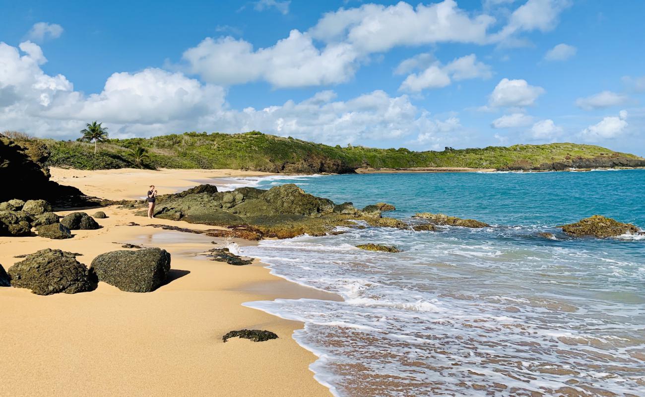 Playa Colora'in fotoğrafı parlak kum yüzey ile