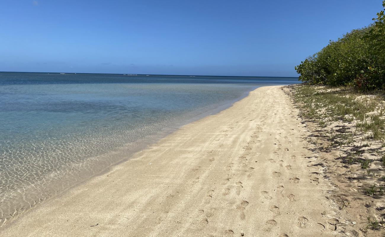Playa La Pocita de Mimosa'in fotoğrafı açık bej kum yüzey ile