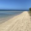 Playa La Pocita de Mimosa