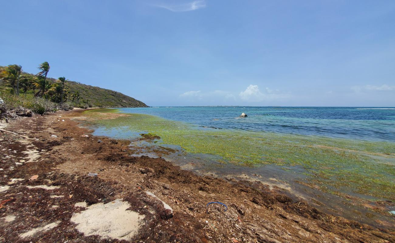 Playa Canalejo'in fotoğrafı bej kum ve kayalar yüzey ile