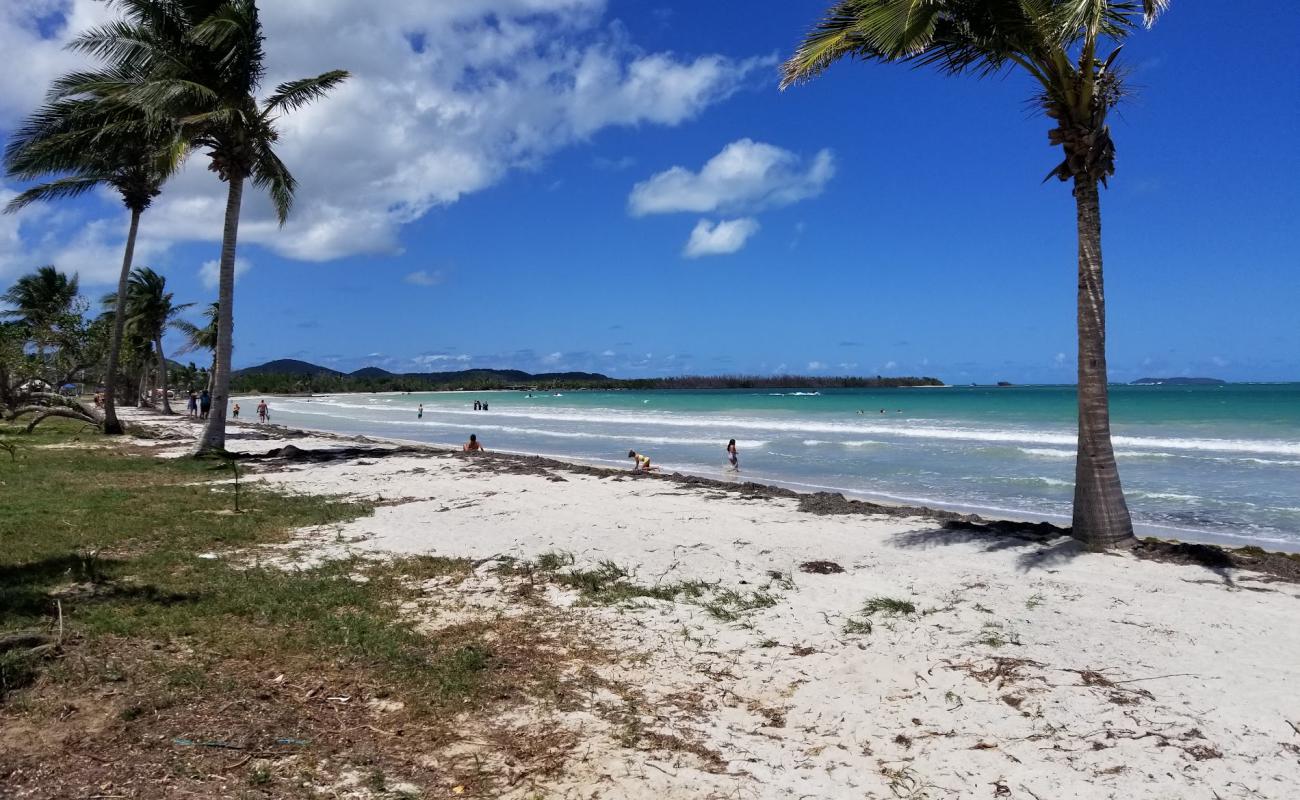 Playa Los Machos'in fotoğrafı açık bej kum yüzey ile