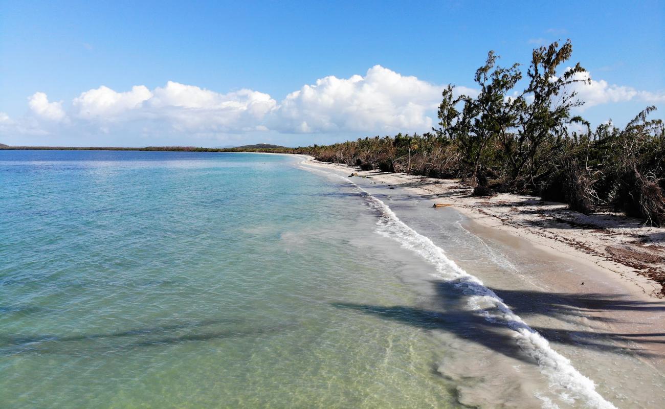 Playa Medio Mundo'in fotoğrafı açık bej kum yüzey ile