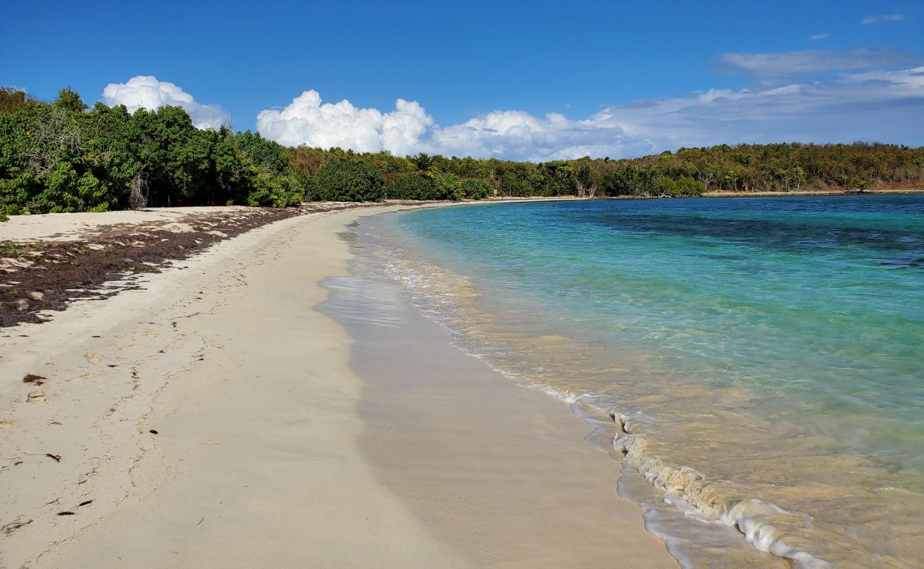 Playa Cayo Pineiro'in fotoğrafı parlak ince kum yüzey ile