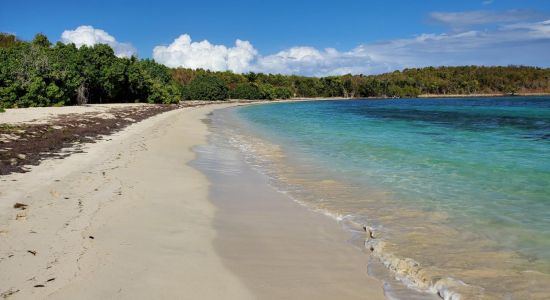 Playa Cayo Pineiro