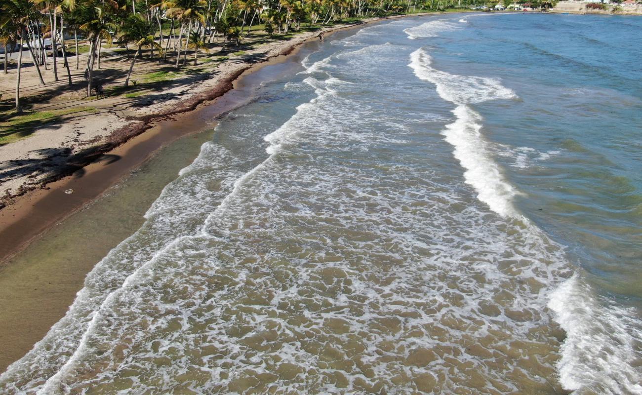 Playa Guayanes'in fotoğrafı parlak kum yüzey ile