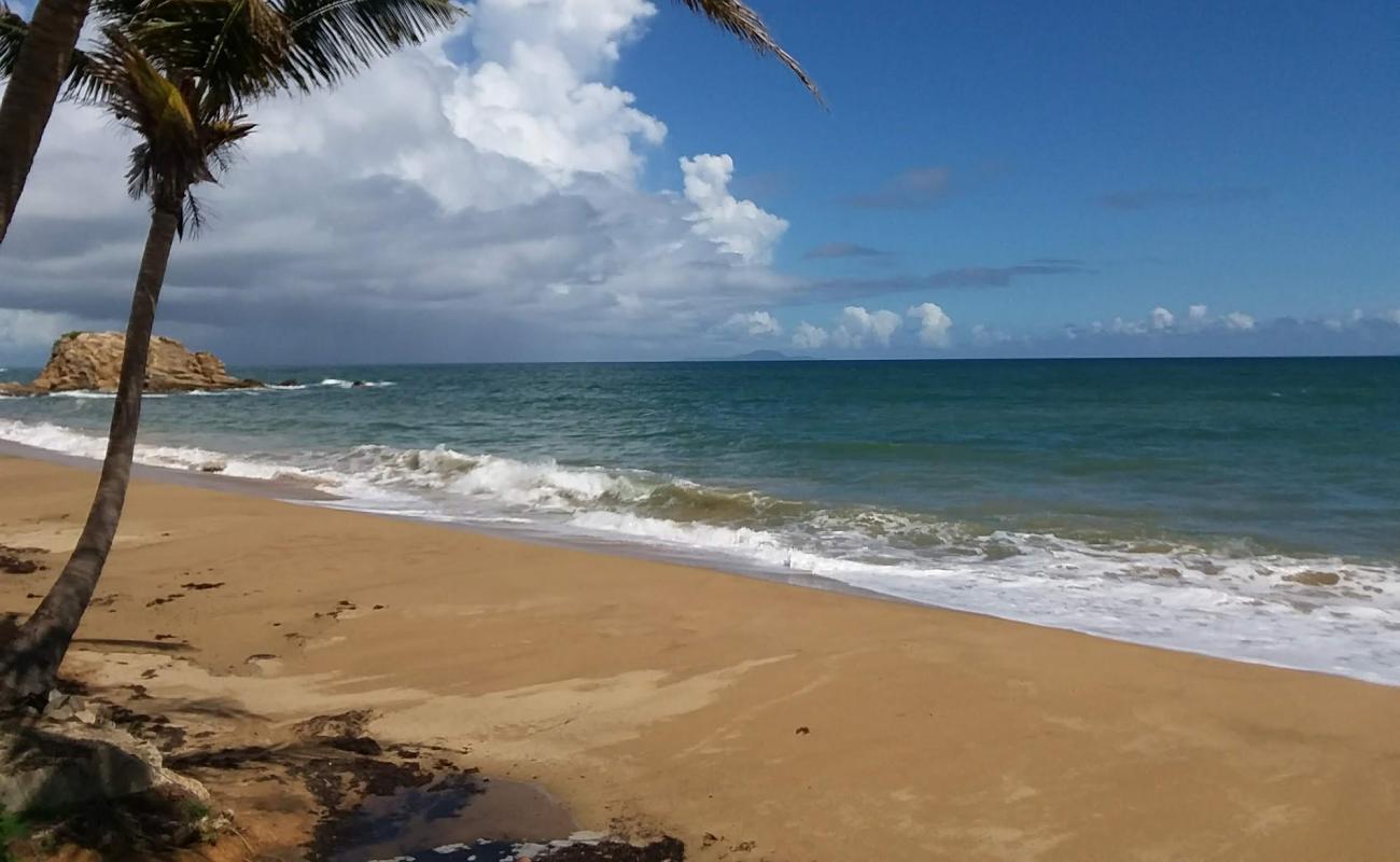 Playa El Negro'in fotoğrafı parlak kum yüzey ile