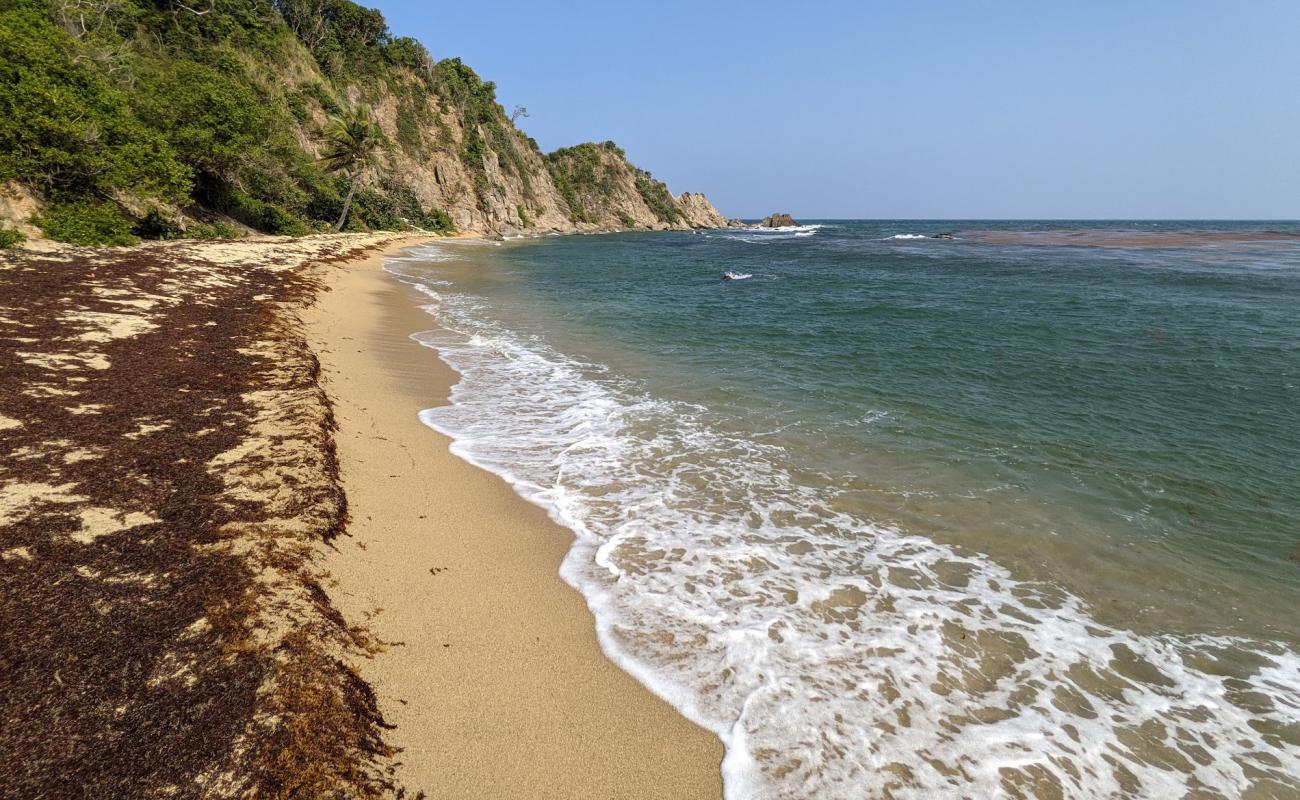 Playa Teresa'in fotoğrafı parlak kabuk kumu yüzey ile