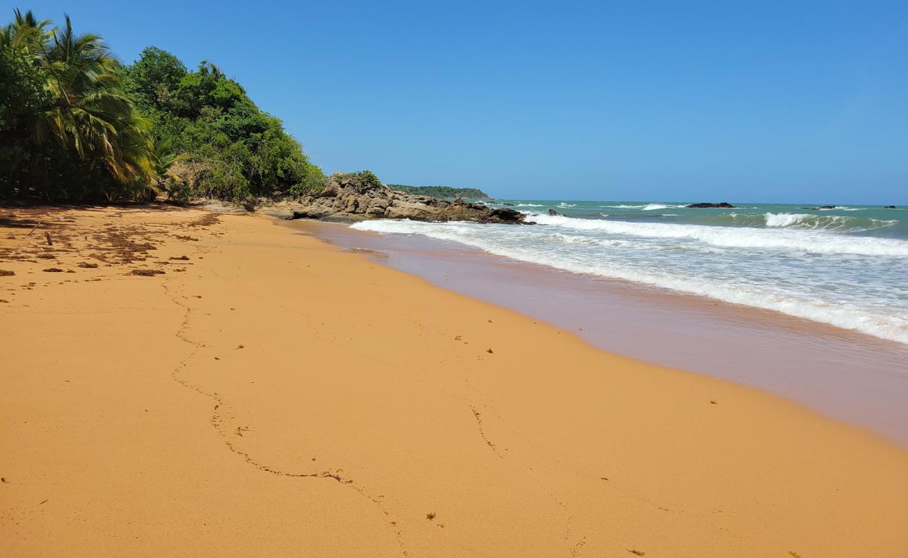 Playa Cayo Prieto'in fotoğrafı parlak ince kum yüzey ile