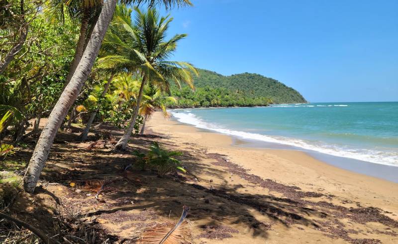 Playa Emajaguas'in fotoğrafı parlak ince kum yüzey ile