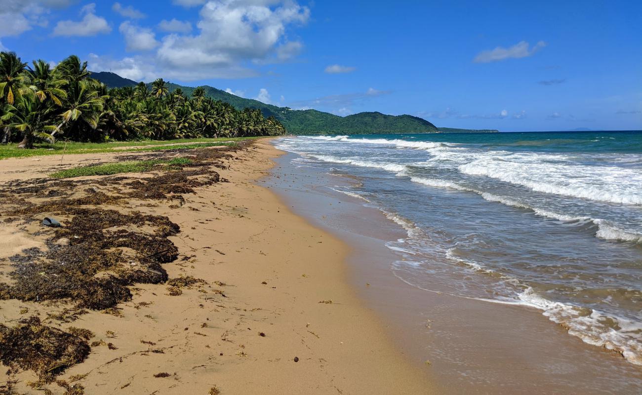 Playa Punta Tuna'in fotoğrafı parlak ince kum yüzey ile