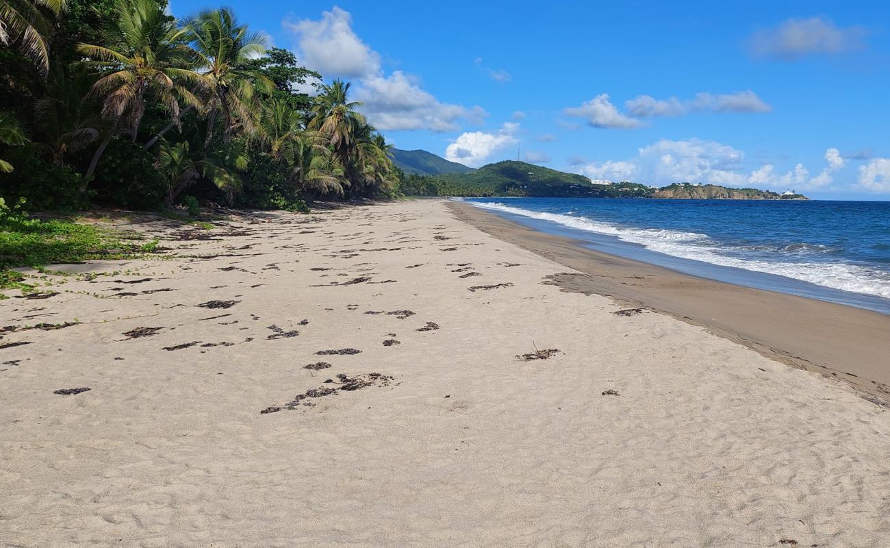 Playa California'in fotoğrafı gri kum yüzey ile