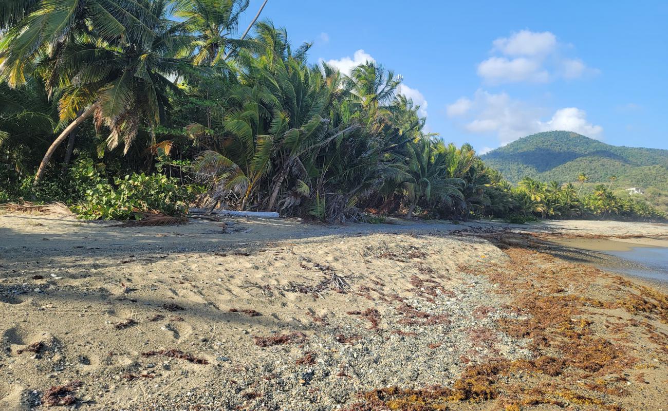 Playa Corsica'in fotoğrafı gri kum ve çakıl yüzey ile