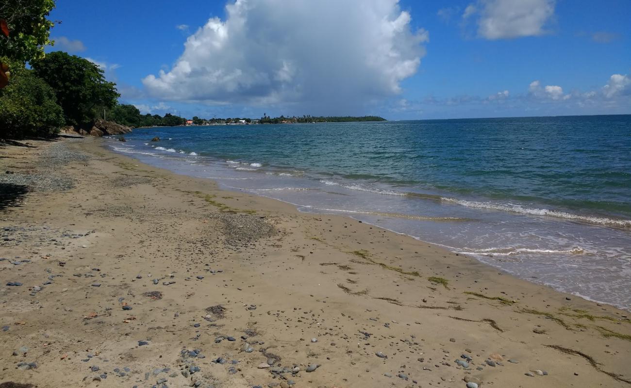 Playa Los Hoteles'in fotoğrafı gri kum yüzey ile