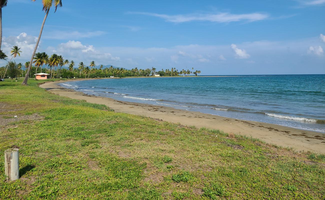 Punta Guilarte Beach'in fotoğrafı gri kum yüzey ile