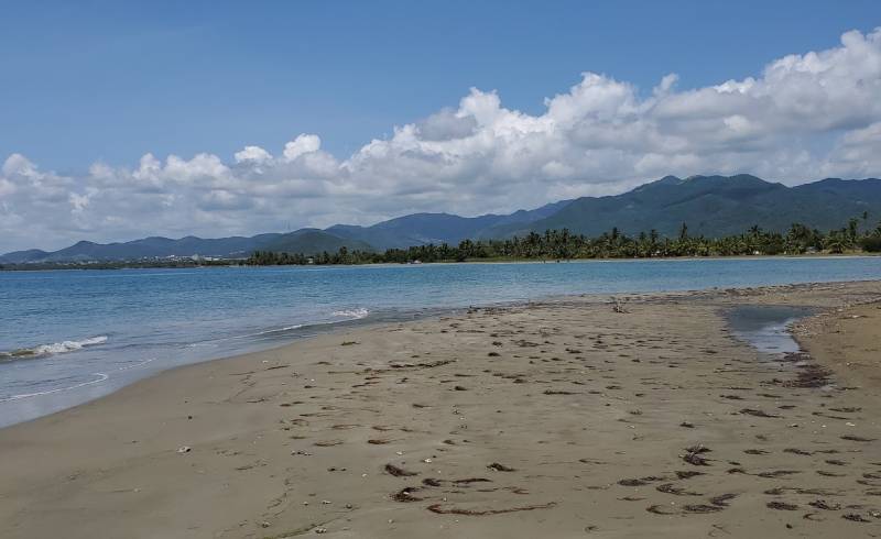 Playa cangrejos'in fotoğrafı gri kum yüzey ile