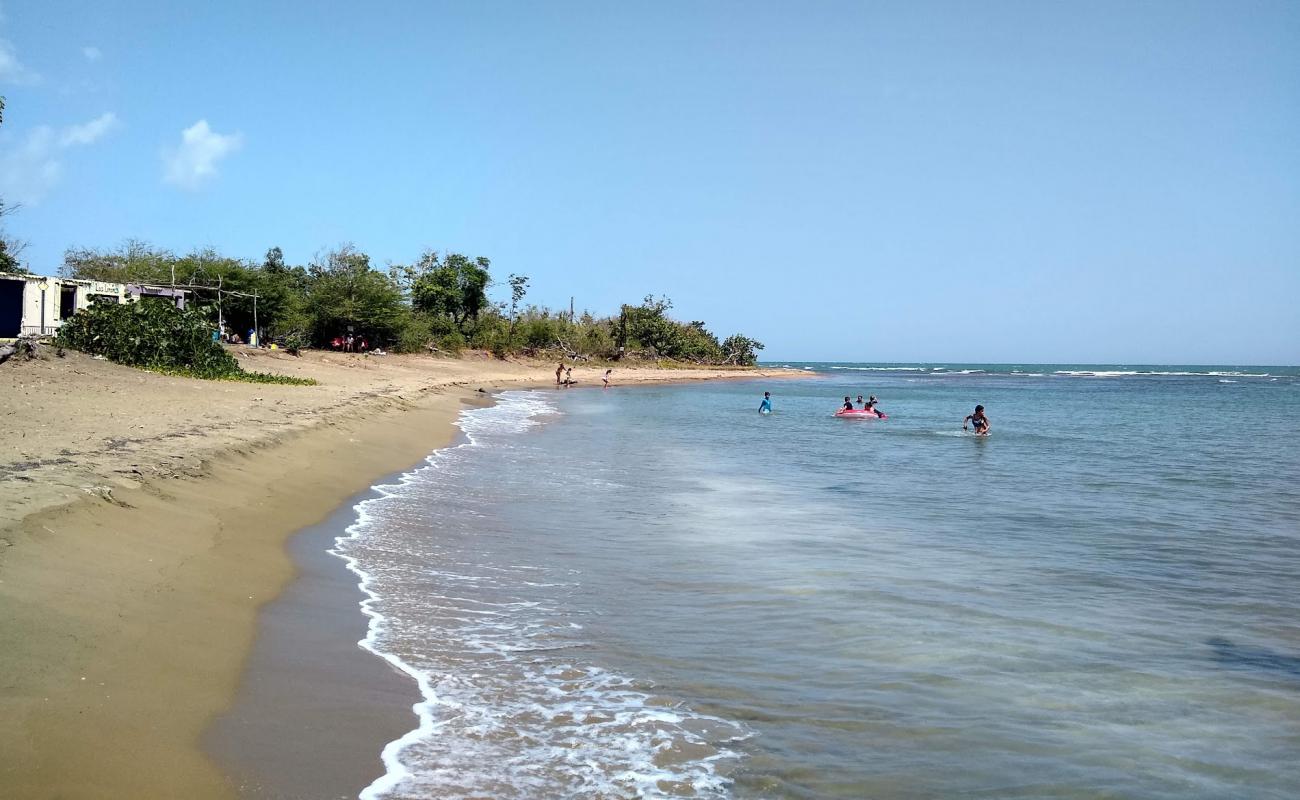 Playa Los Limones'in fotoğrafı açık bej kum yüzey ile