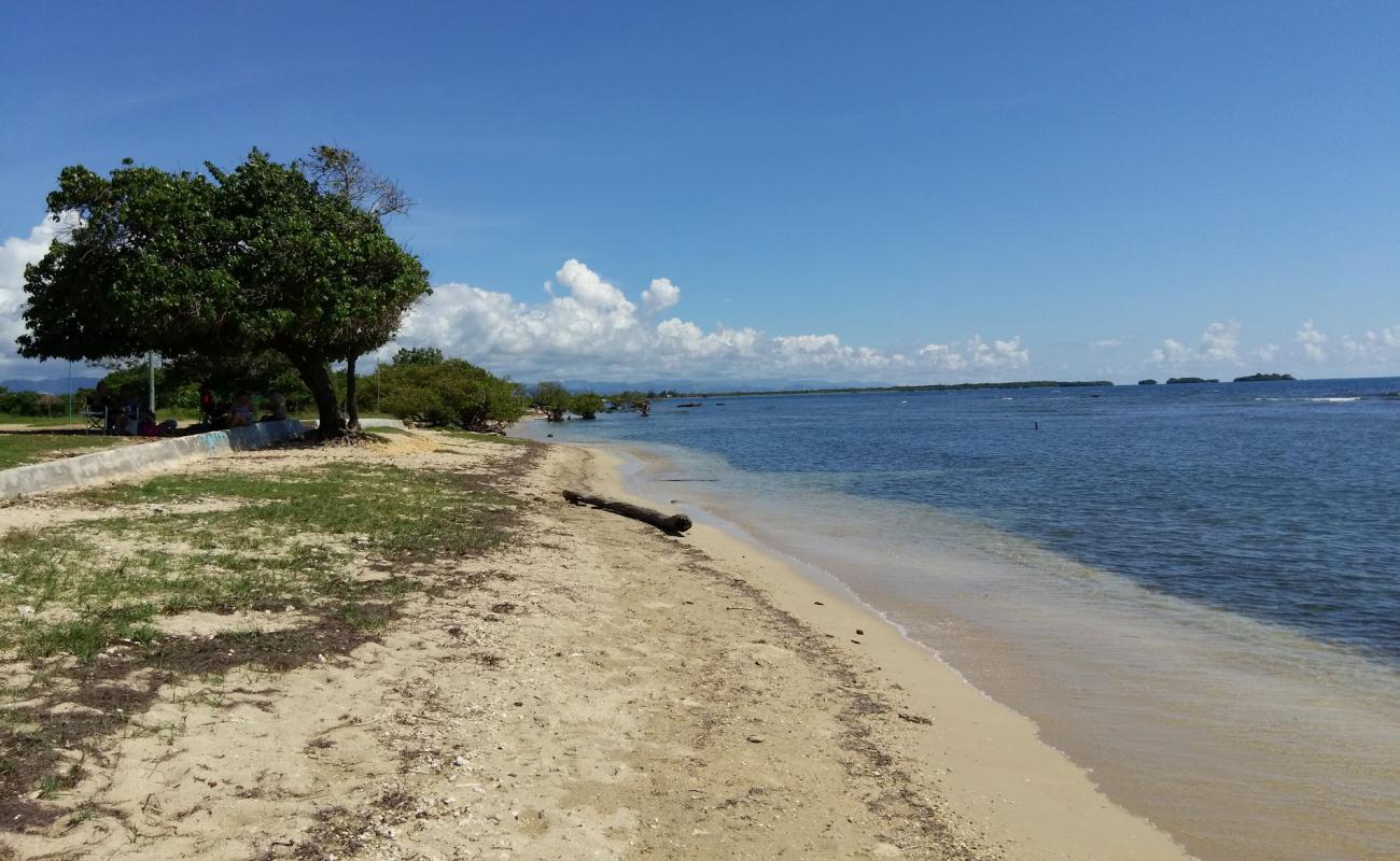 Playa de la Guancha'in fotoğrafı bej kum ve çakıl yüzey ile