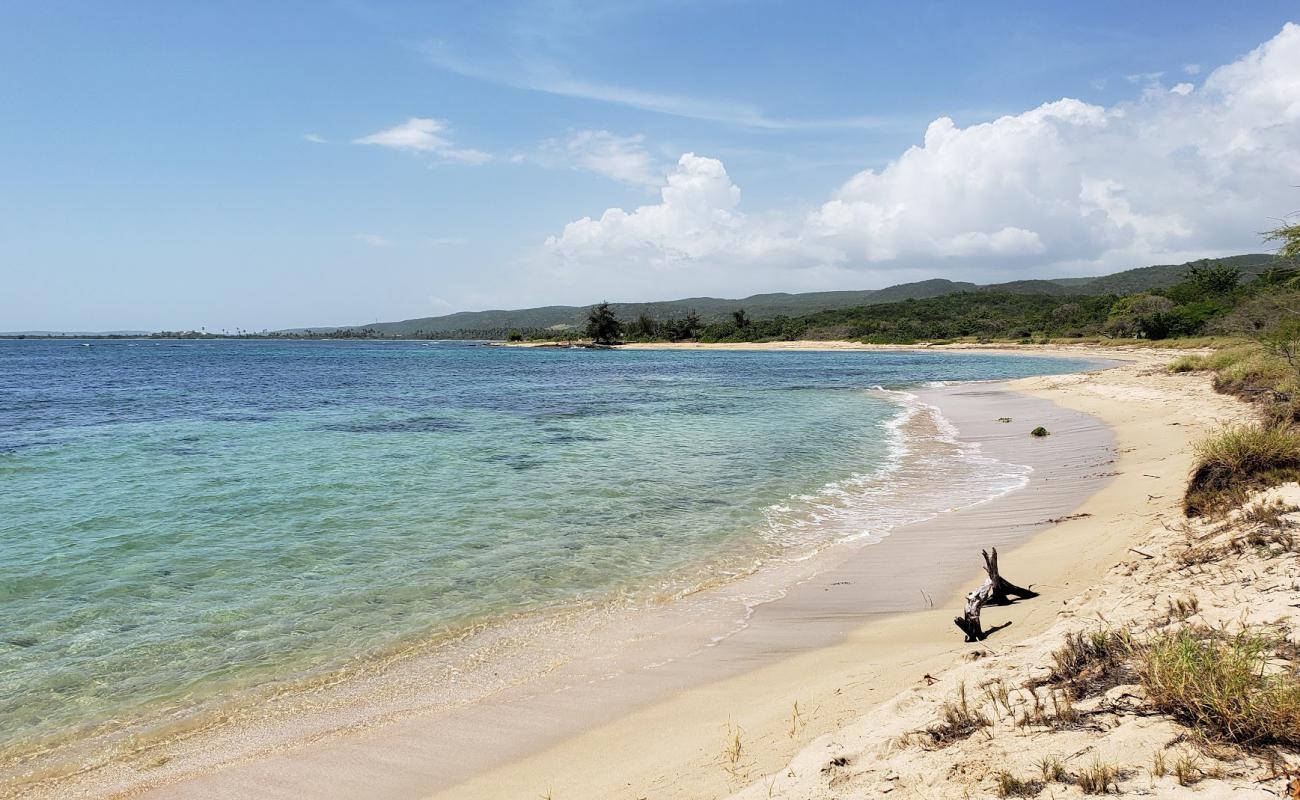 Playa Tamarindo'in fotoğrafı i̇nce bej kum yüzey ile