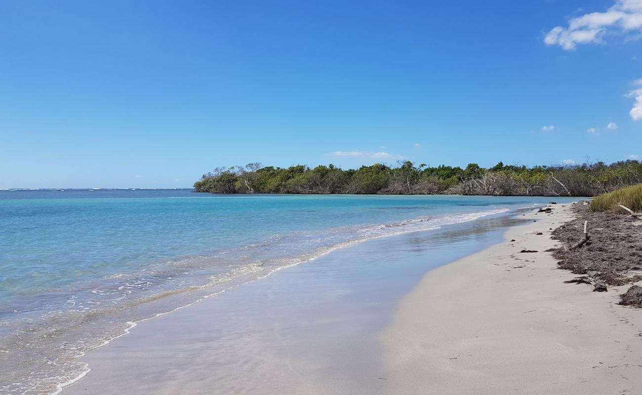 Playa Ballena'in fotoğrafı parlak kum yüzey ile