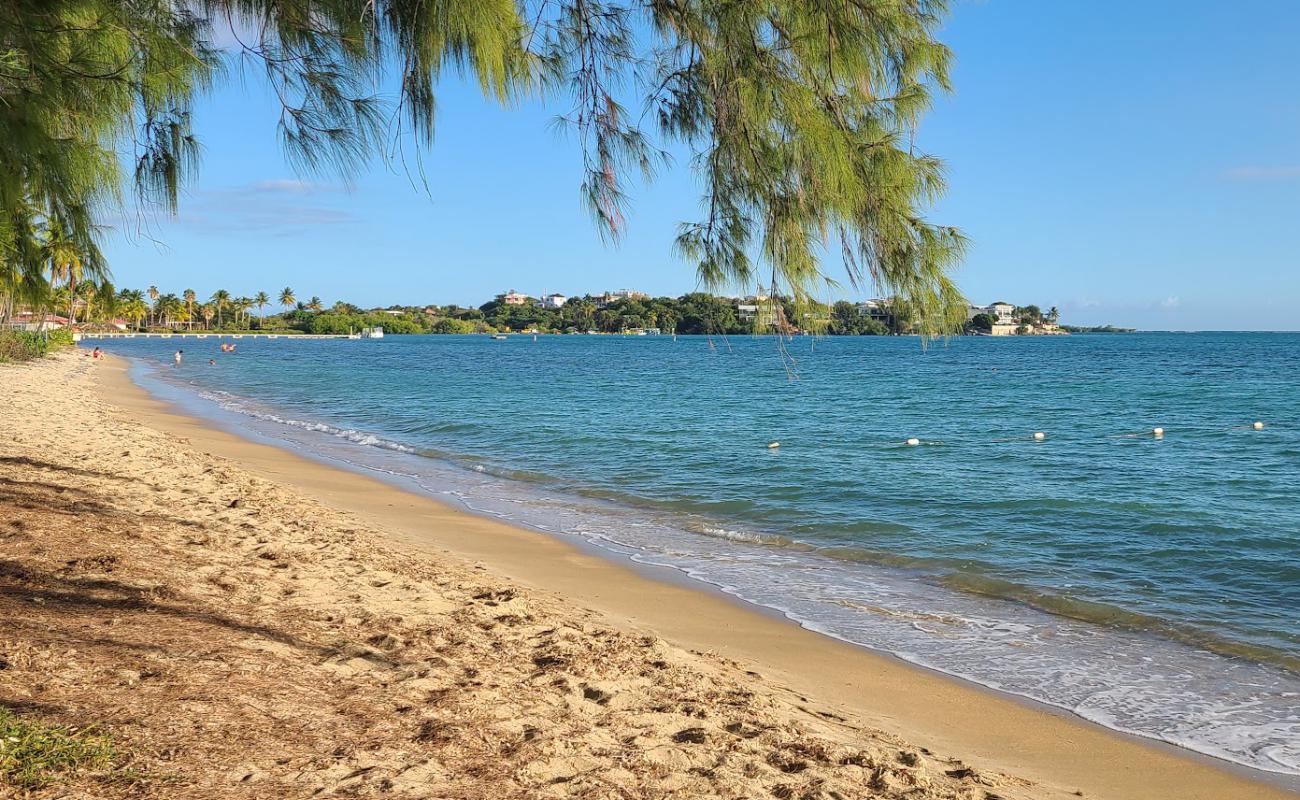 Playa Cana Gorda'in fotoğrafı parlak ince kum yüzey ile