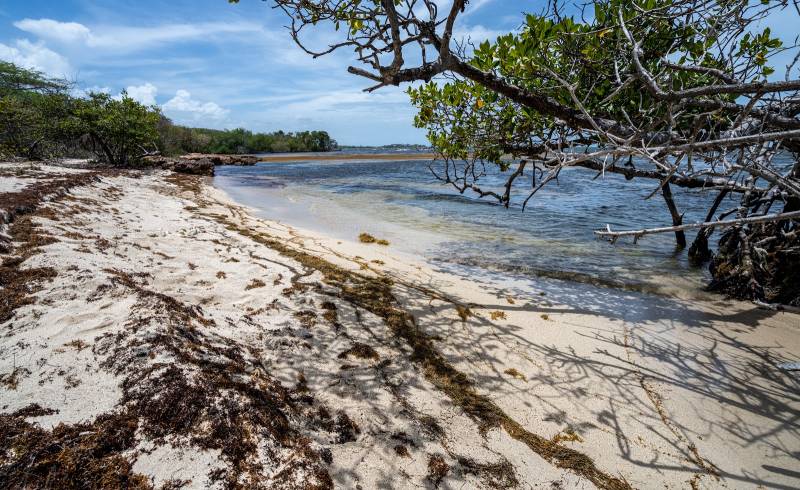 Playa Los Congres'in fotoğrafı parlak kum yüzey ile