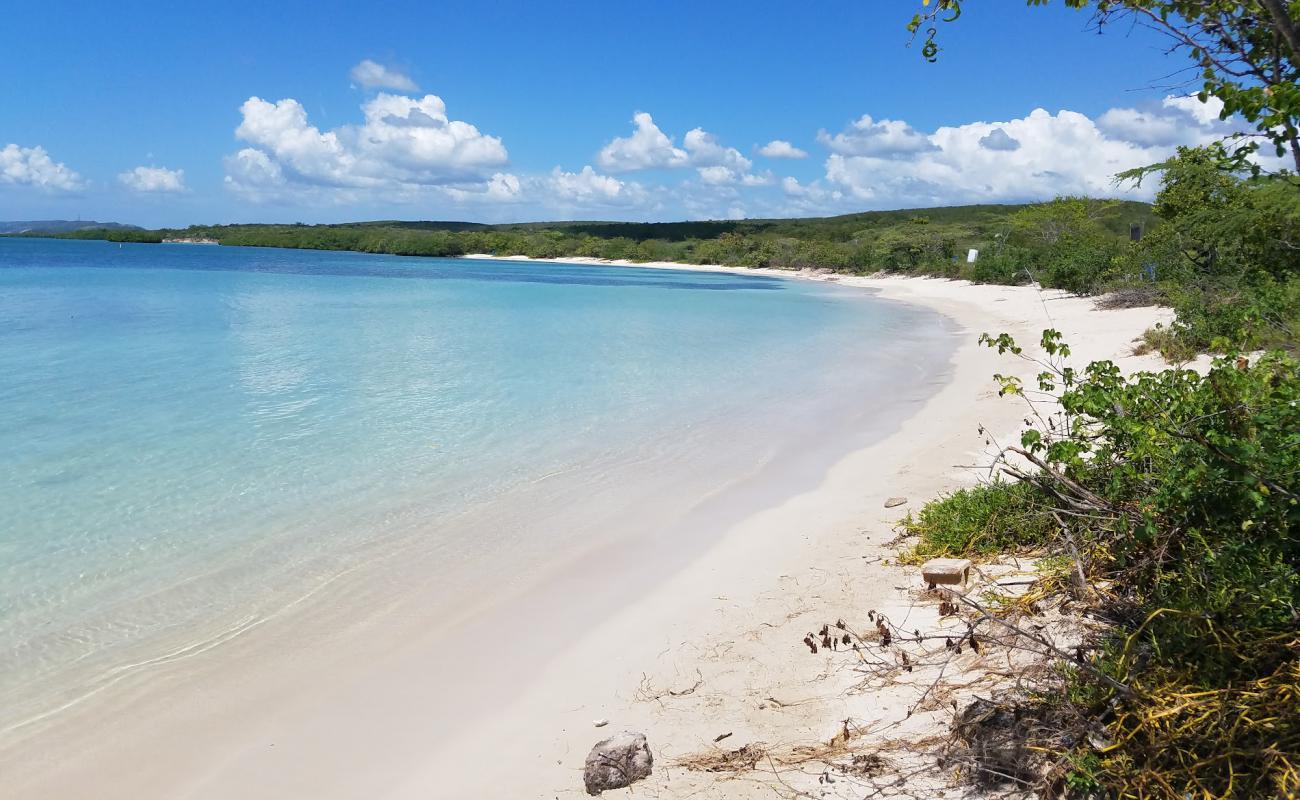 Playa La Jungla'in fotoğrafı parlak ince kum yüzey ile