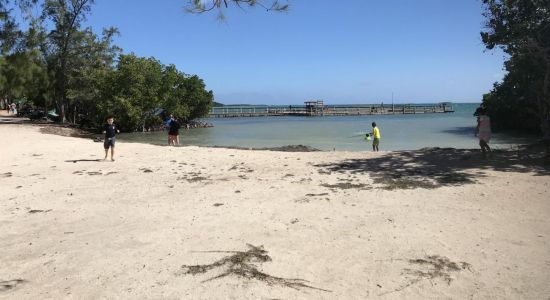 Playita Rosada