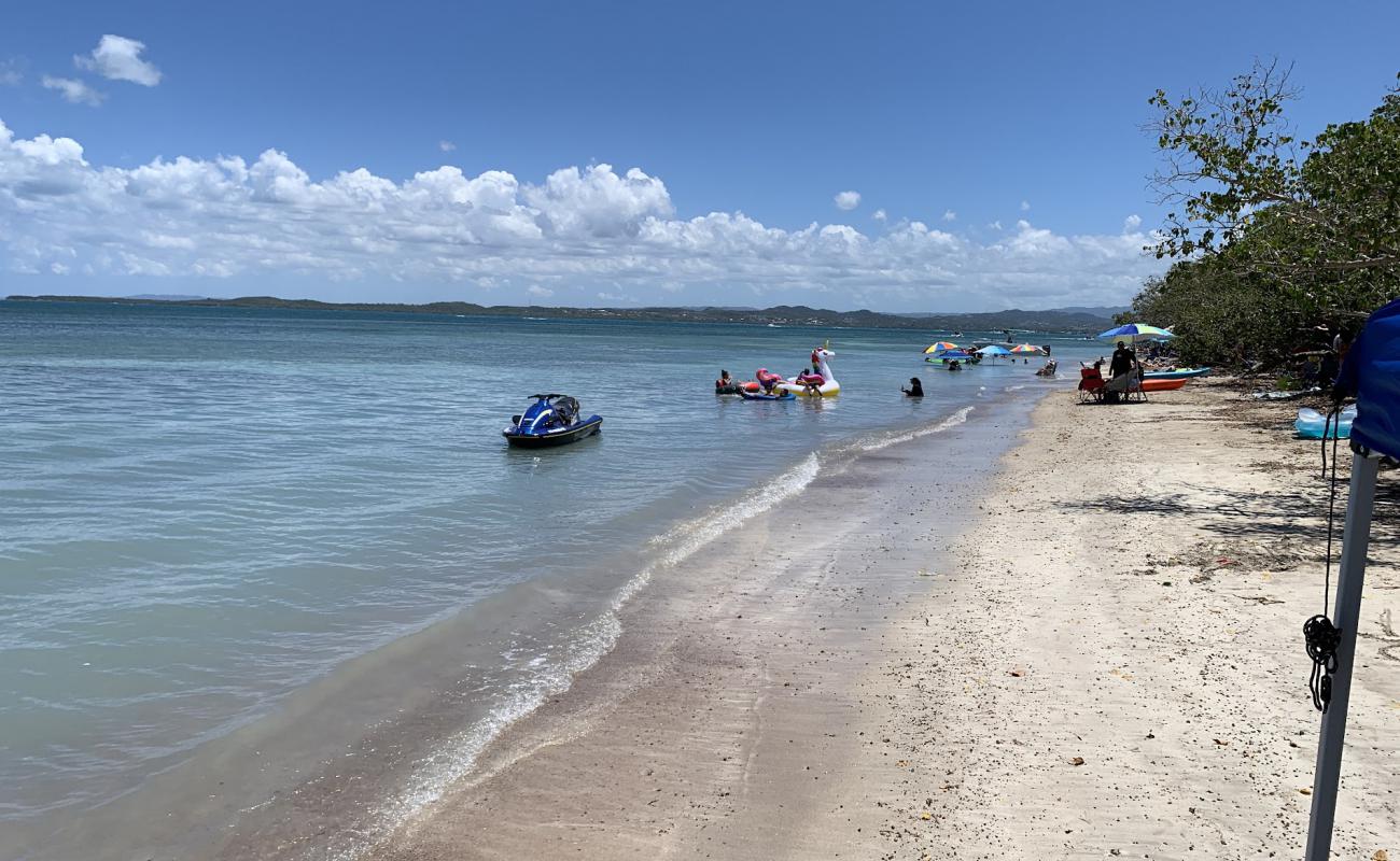 Playa  Los Pozos'in fotoğrafı gri kum yüzey ile