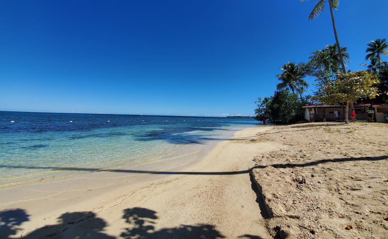 Playa La Mela'in fotoğrafı parlak ince kum yüzey ile