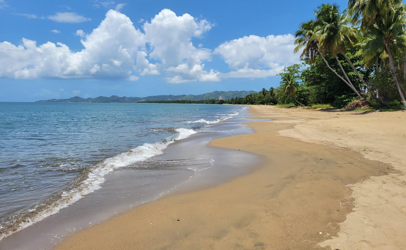 Playa Sabaneta'in fotoğrafı açık bej kum yüzey ile