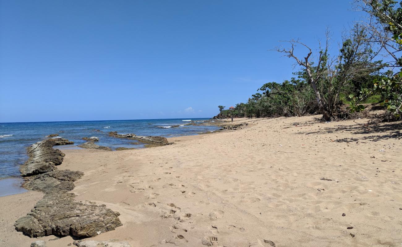 Playa Maria'in fotoğrafı parlak ince kum yüzey ile