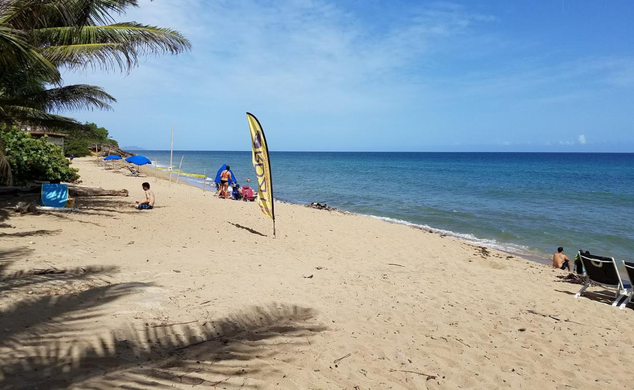 Sandy Beach East'in fotoğrafı parlak kum yüzey ile