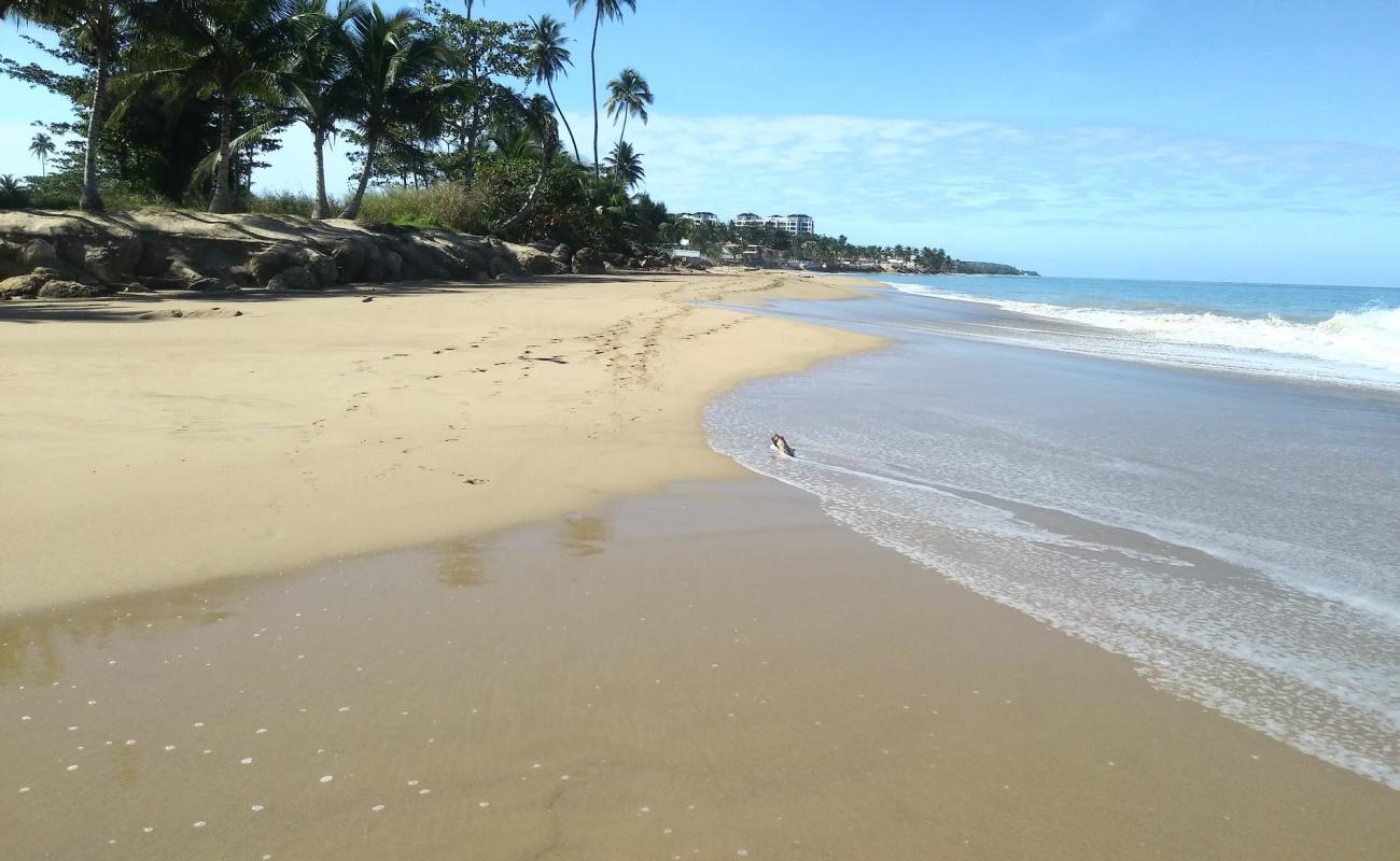 Pico de Piedra beach'in fotoğrafı parlak kum yüzey ile