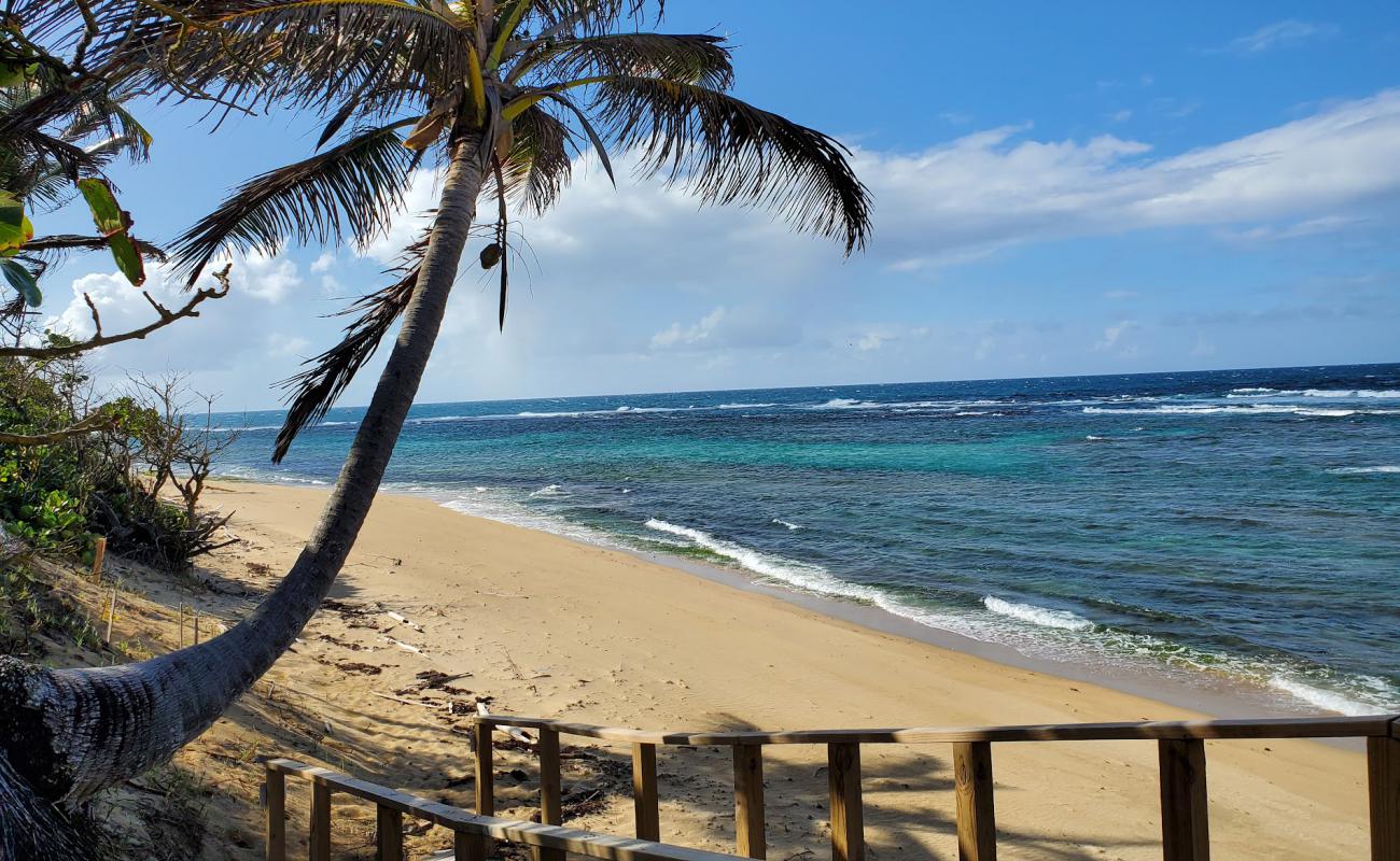 Shacks beach'in fotoğrafı parlak kum yüzey ile