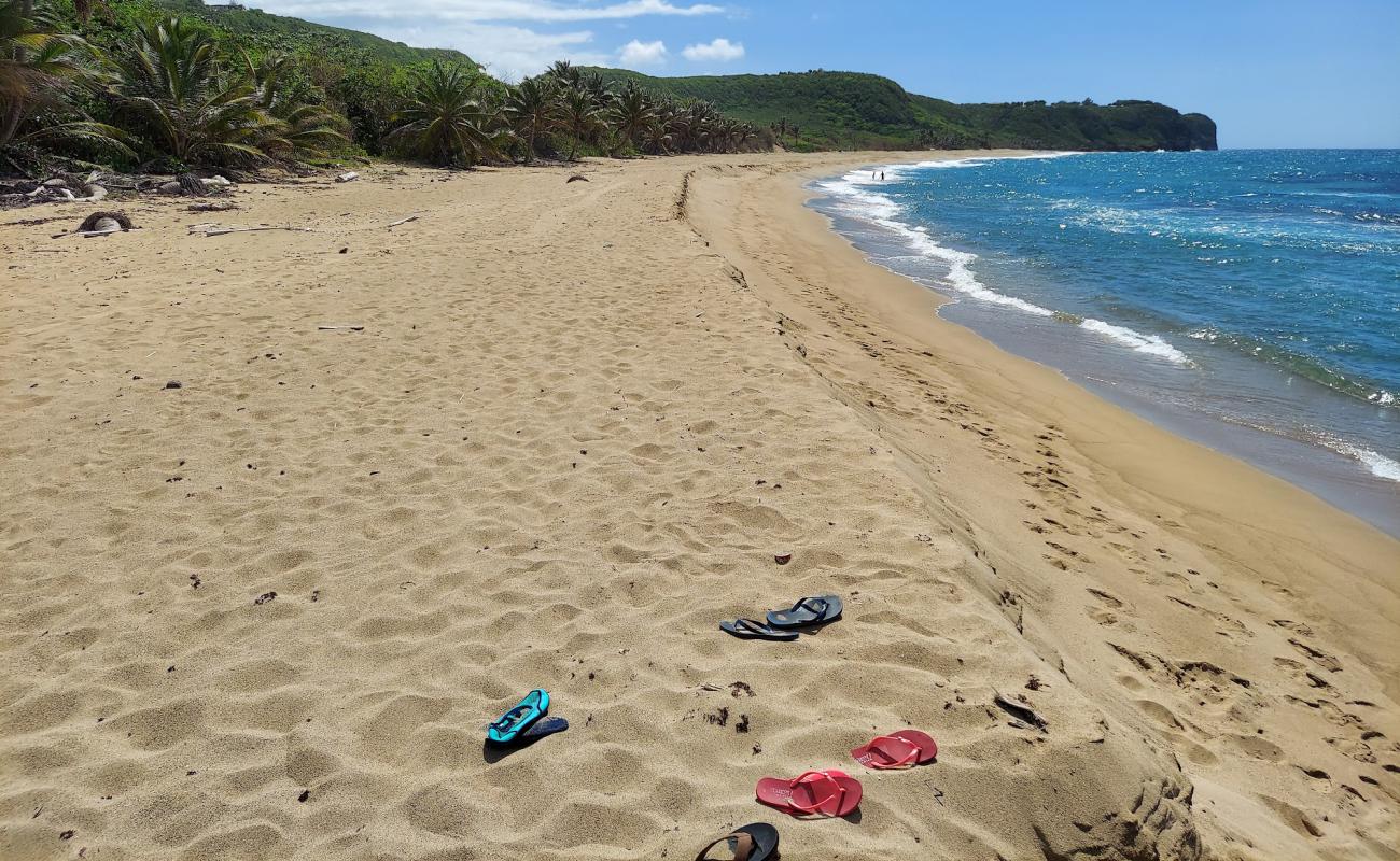 Shago beach'in fotoğrafı parlak kum yüzey ile