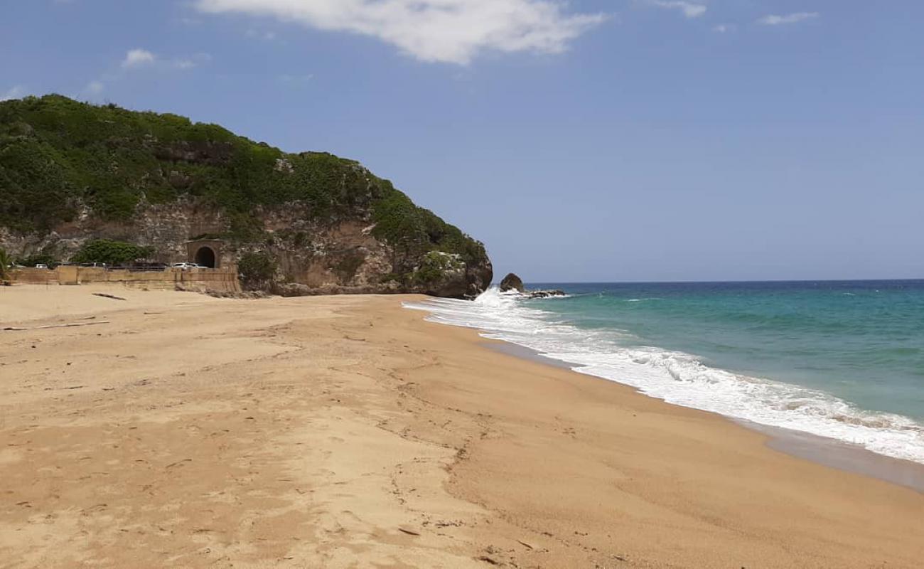 Playa Guajataca'in fotoğrafı parlak kum yüzey ile