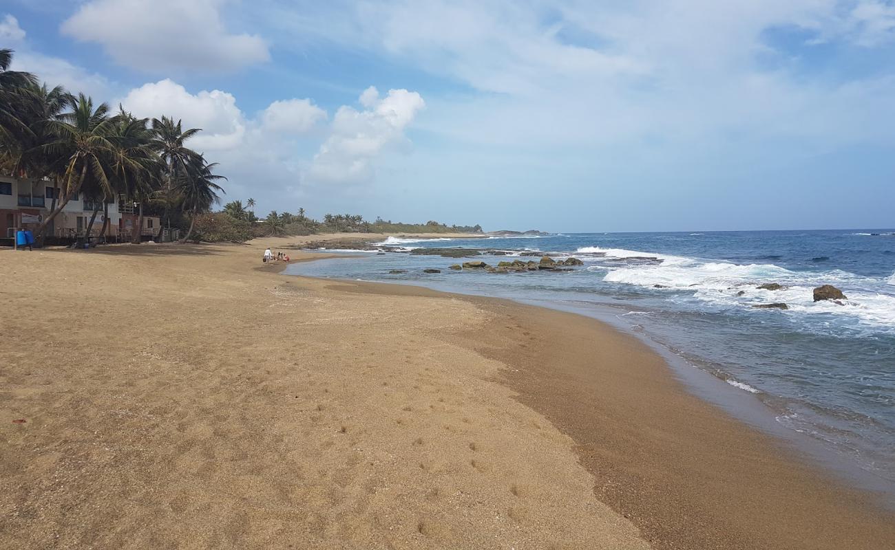 Los Pinos beach'in fotoğrafı açık bej kum yüzey ile