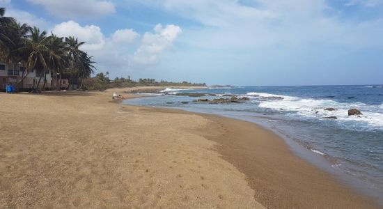 Los Pinos beach