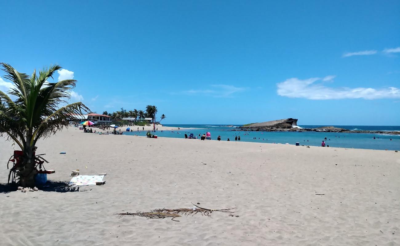 Playa Sardinera'in fotoğrafı açık bej kum yüzey ile