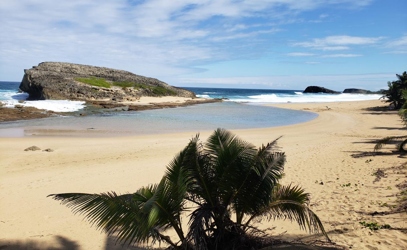 Arecibo beach'in fotoğrafı parlak kum yüzey ile