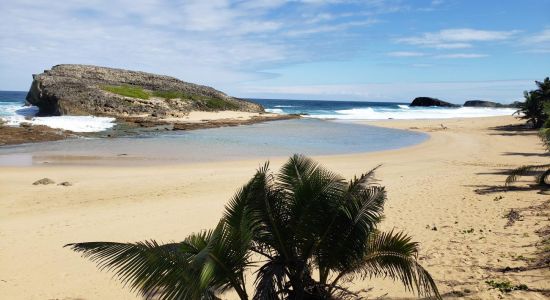 Arecibo beach