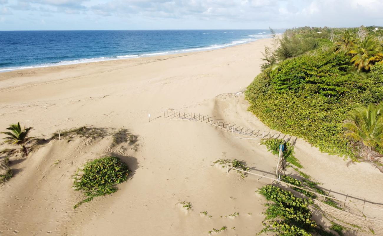 Hallows beach'in fotoğrafı parlak kum yüzey ile