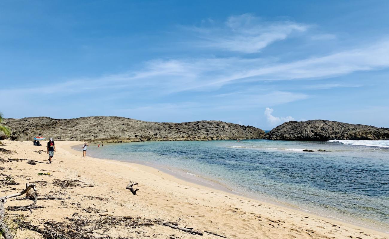 Playa Tombolo beach'in fotoğrafı parlak kum yüzey ile