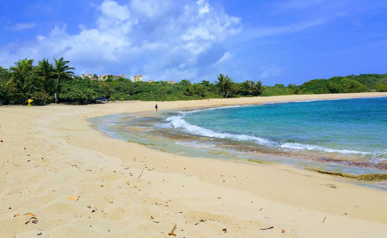 Las Palmas beach'in fotoğrafı parlak kum yüzey ile