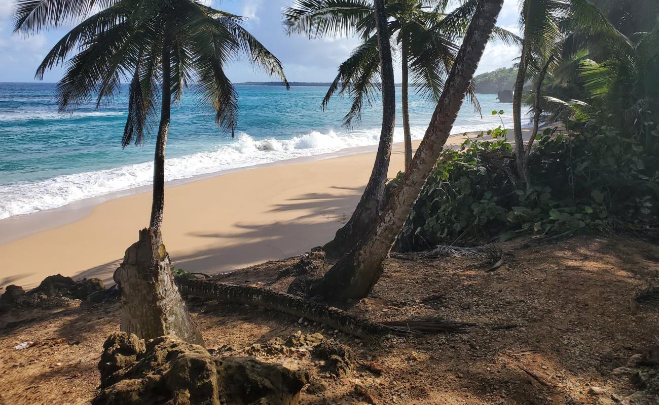 Escondida beach'in fotoğrafı parlak kum yüzey ile