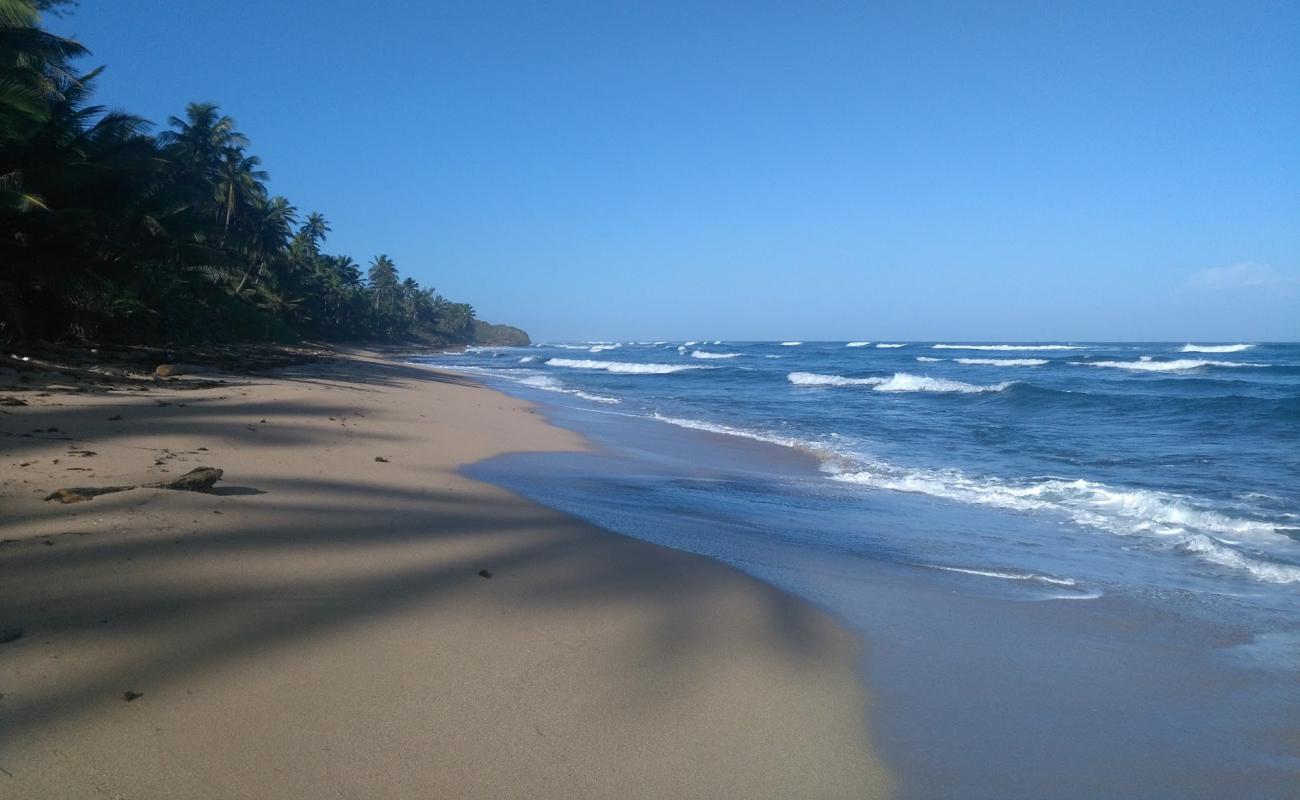 Callada beach'in fotoğrafı açık bej kum yüzey ile