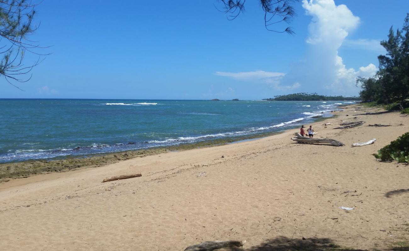 Playa de Vega Baja'in fotoğrafı bej kum ve kayalar yüzey ile