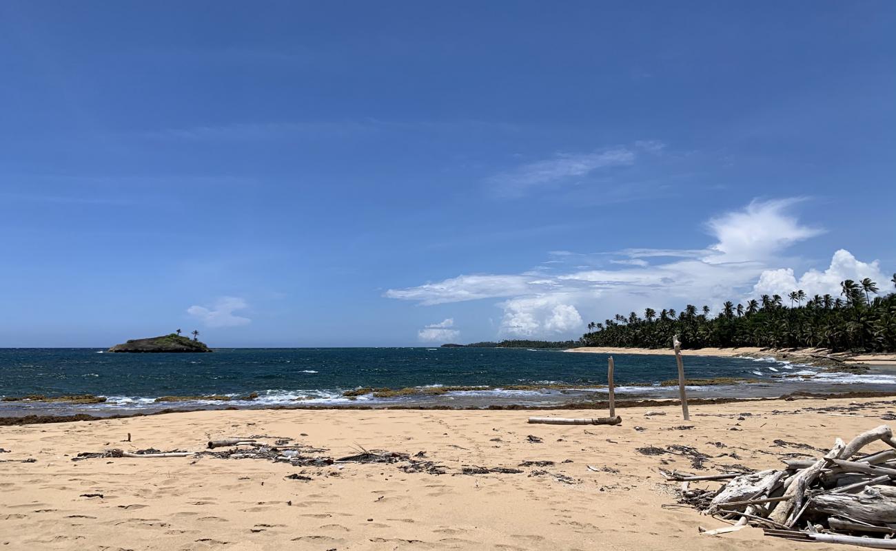 Punta Cibuco beach'in fotoğrafı açık bej kum yüzey ile